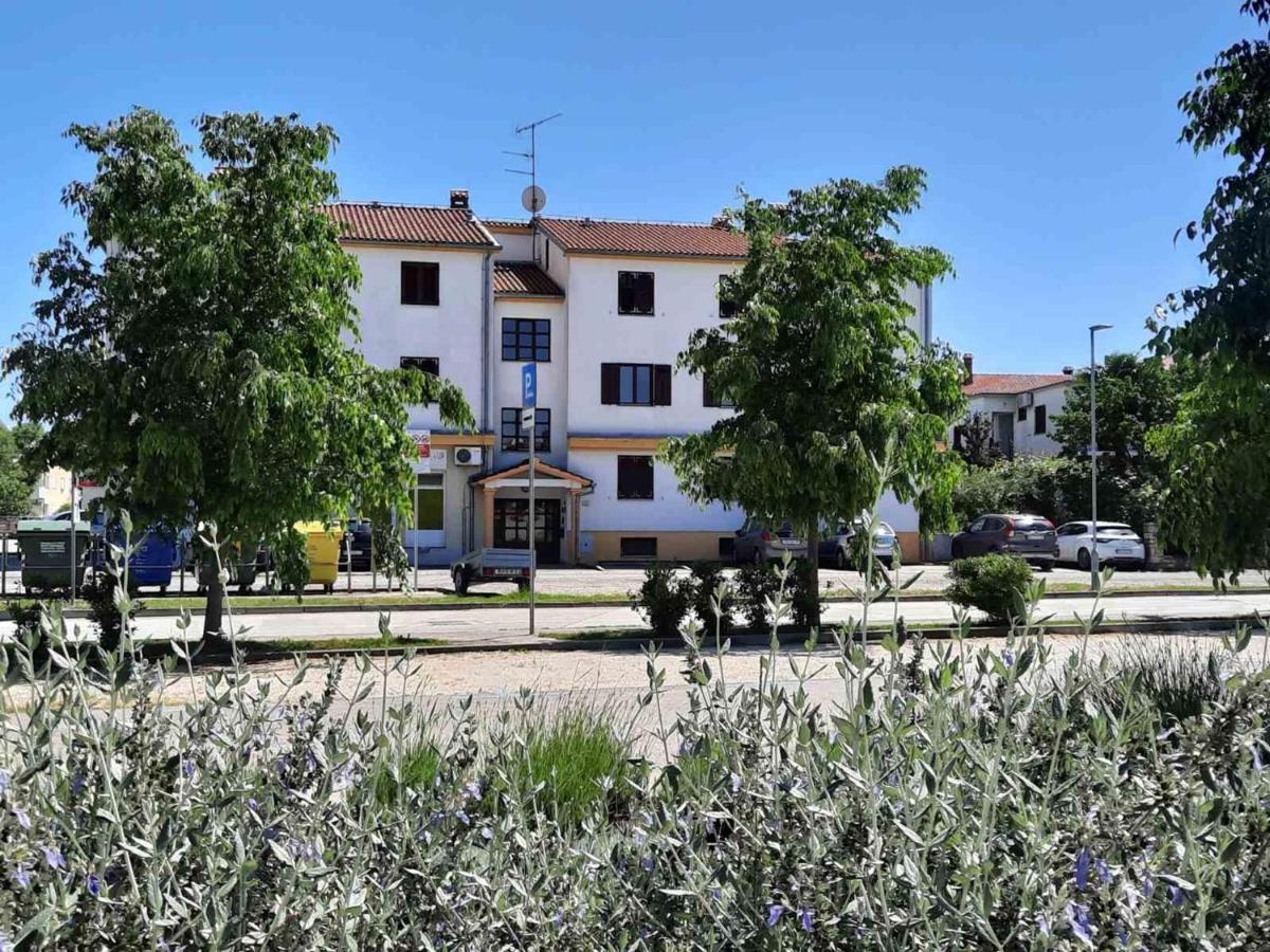 Apartment Thalassa Rovinj Eksteriør bilde